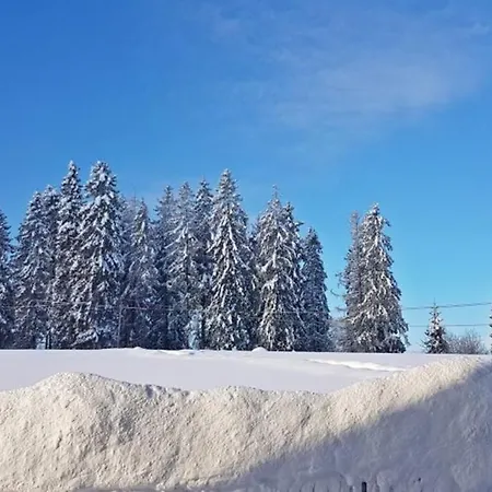 Willabukovinka - Bliskosc Lasu, Wyciagow I Term, Atrakcje Dla Dzieci, Znizki Na Wyciagi, Termy, Karczmy I Atrakcje Bukowina Tatrzanska Exterior photo