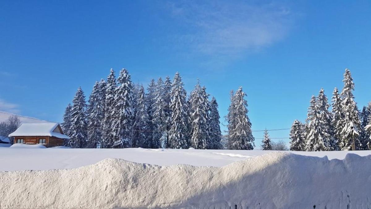 Apartament Bukovinka - Bliskość Lasu, Wyciągów I Term Bon Turystyczny